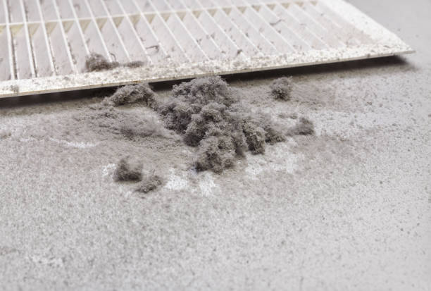 Best Air Vent Cleaning Services  in Dell Rapids, SD