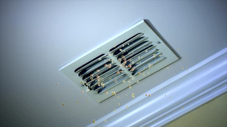 Best Dryer Vent Cleaning Services  in Dell Rapids, SD